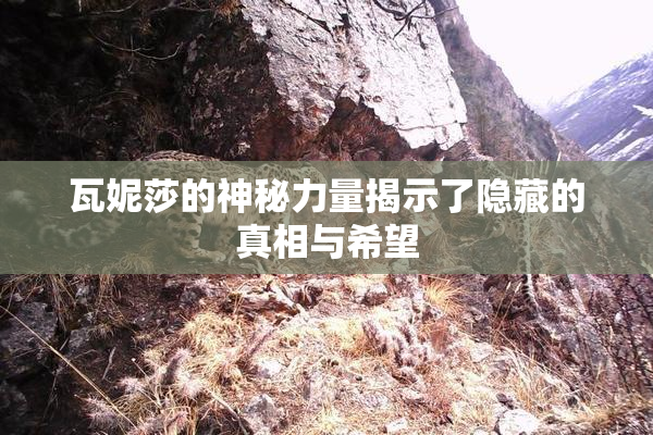 瓦妮莎的神秘力量揭示了隐藏的真相与希望