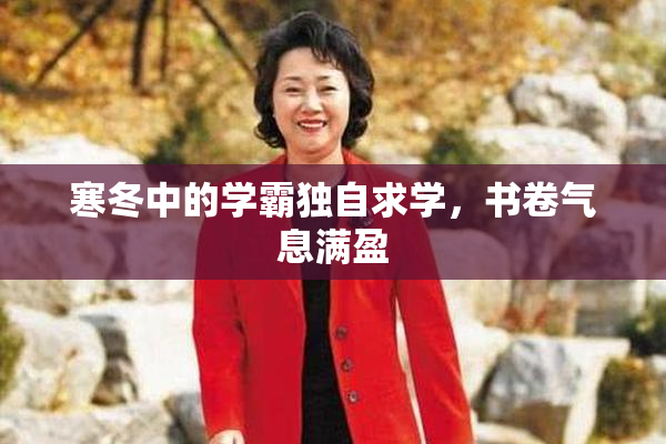 寒冬中的学霸独自求学，书卷气息满盈