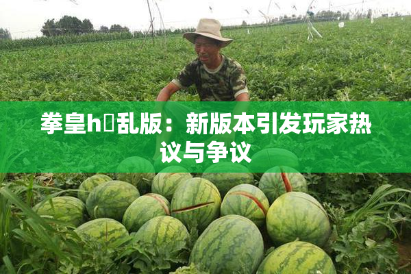 拳皇h婬乱版：新版本引发玩家热议与争议