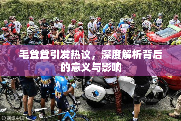 毛耸耸引发热议，深度解析背后的意义与影响