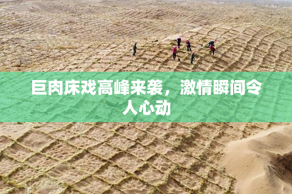 巨肉床戏高峰来袭，激情瞬间令人心动