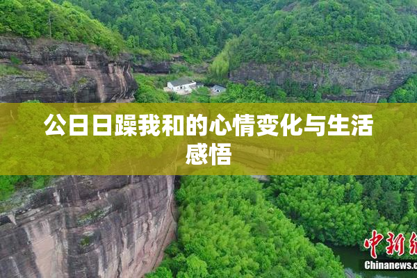 公日日躁我和的心情变化与生活感悟