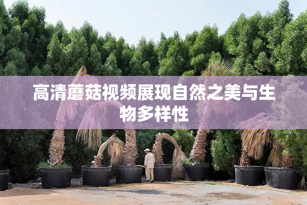 高清蘑菇视频展现自然之美与生物多样性