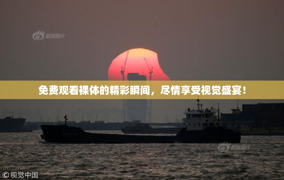 免费观看裸体的精彩瞬间，尽情享受视觉盛宴！