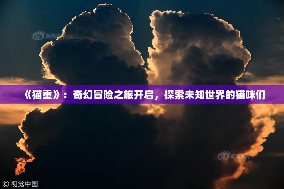 《猫重》：奇幻冒险之旅开启，探索未知世界的猫咪们