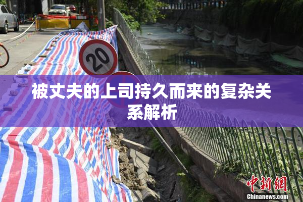 被丈夫的上司持久而来的复杂关系解析