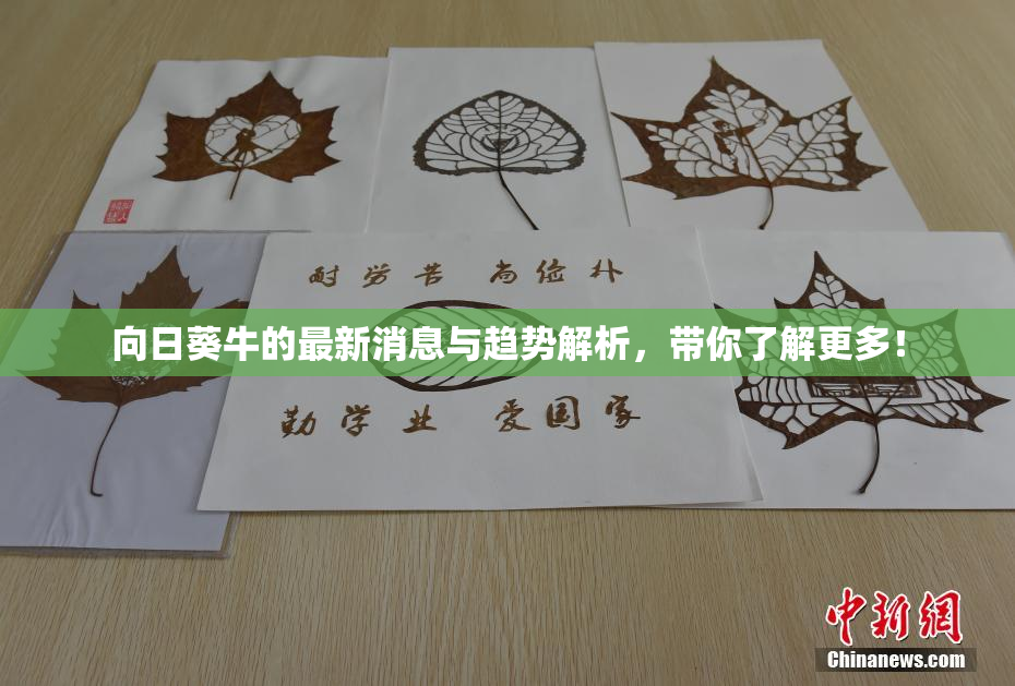 向日葵牛的最新消息与趋势解析，带你了解更多！