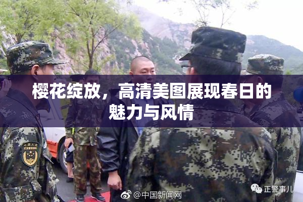 樱花绽放，高清美图展现春日的魅力与风情