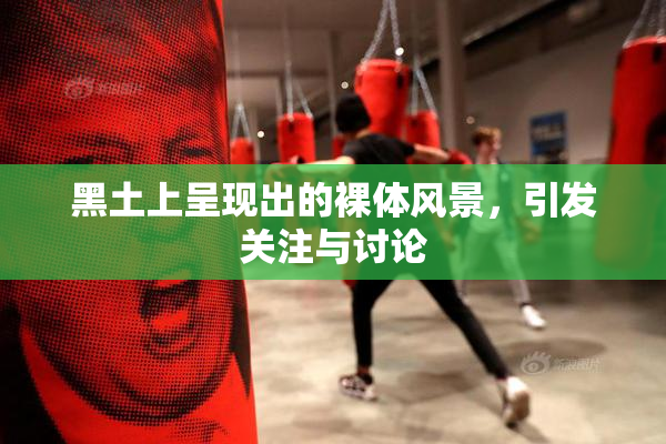 黑土上呈现出的裸体风景，引发关注与讨论