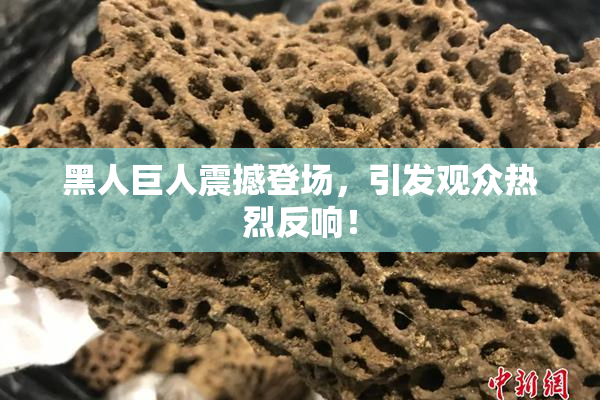 黑人巨人震撼登场，引发观众热烈反响！