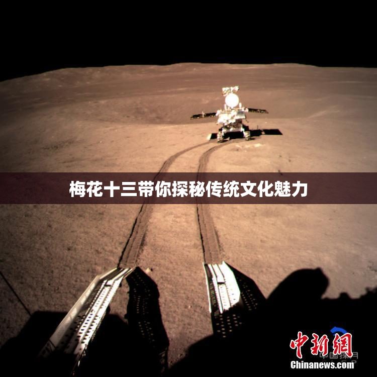 梅花十三带你探秘传统文化魅力