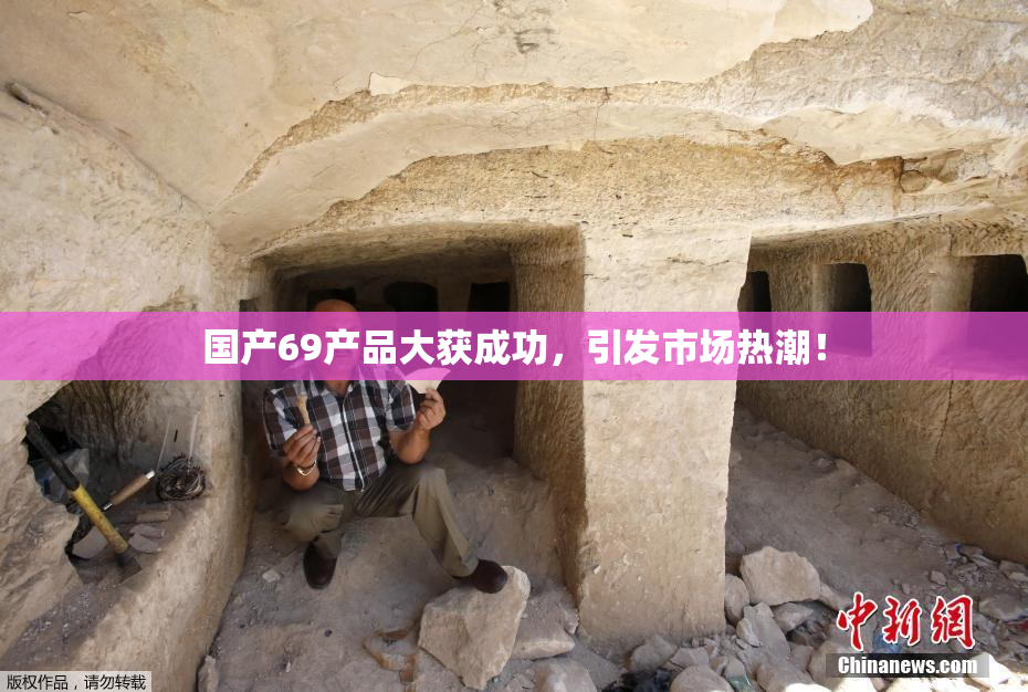 国产69产品大获成功，引发市场热潮！