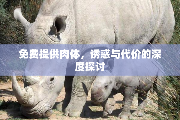 免费提供肉体，诱惑与代价的深度探讨