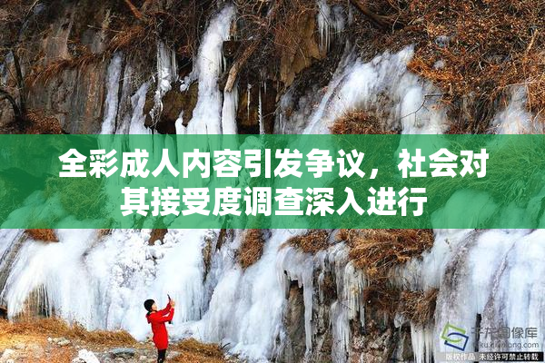 全彩成人内容引发争议，社会对其接受度调查深入进行