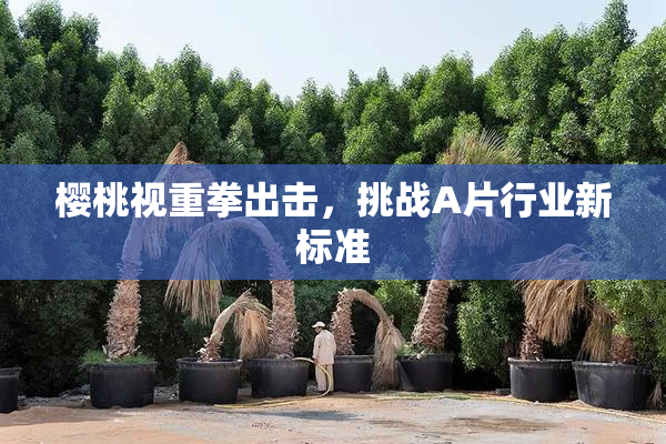 樱桃视重拳出击，挑战A片行业新标准