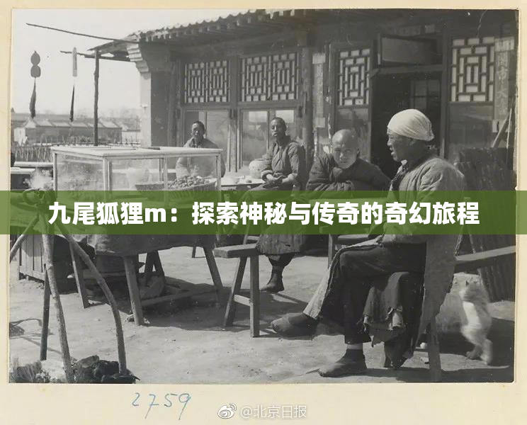 九尾狐狸m：探索神秘与传奇的奇幻旅程