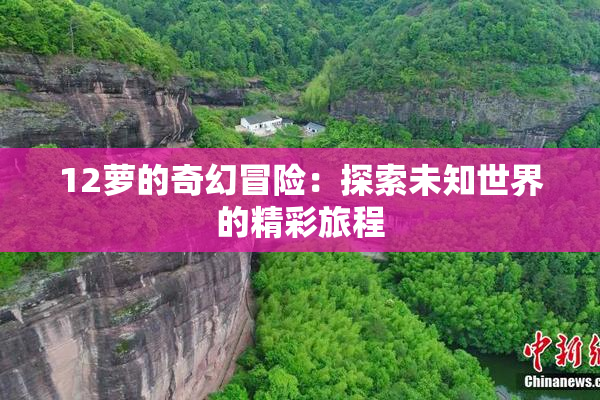 12萝的奇幻冒险：探索未知世界的精彩旅程