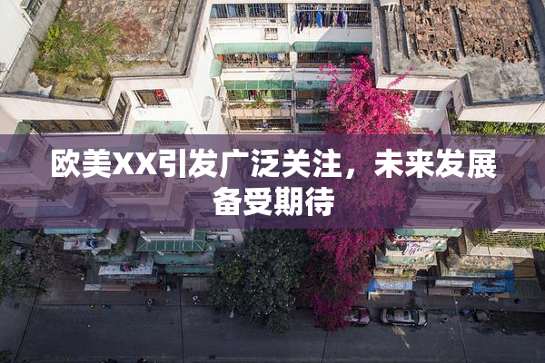 欧美XX引发广泛关注，未来发展备受期待
