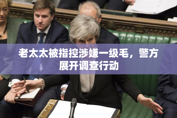 老太太被指控涉嫌一级毛，警方展开调查行动