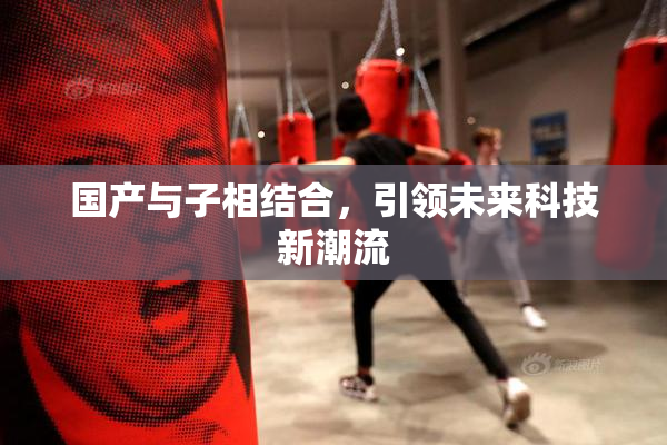 国产与子相结合，引领未来科技新潮流
