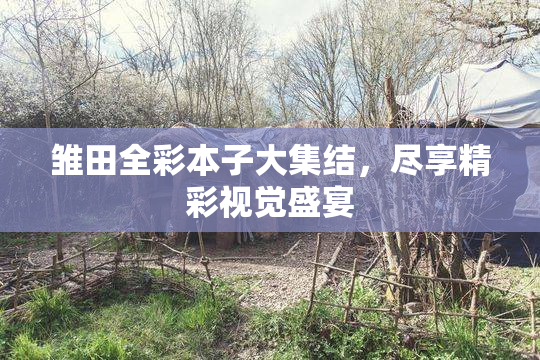 雏田全彩本子大集结，尽享精彩视觉盛宴