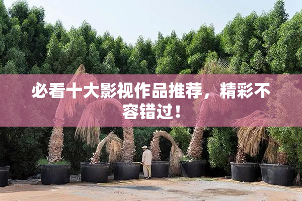 必看十大影视作品推荐，精彩不容错过！