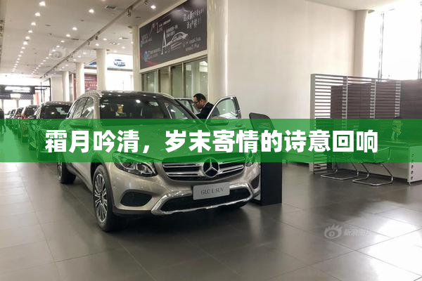 霜月吟清，岁末寄情的诗意回响