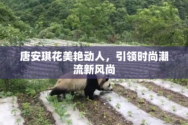 唐安琪花美艳动人，引领时尚潮流新风尚