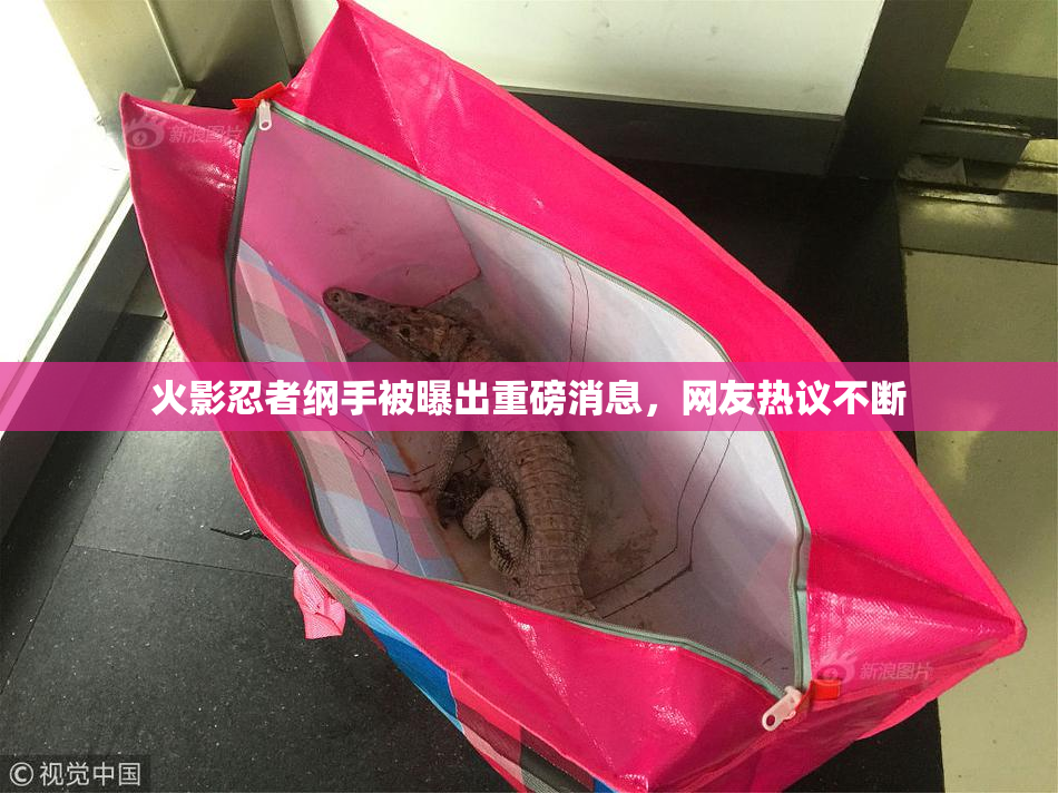 火影忍者纲手被曝出重磅消息，网友热议不断