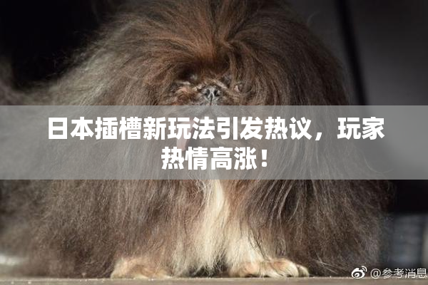 日本插槽新玩法引发热议，玩家热情高涨！
