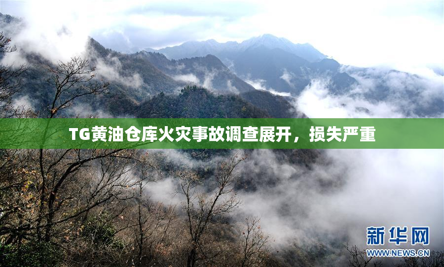 TG黄油仓库火灾事故调查展开，损失严重