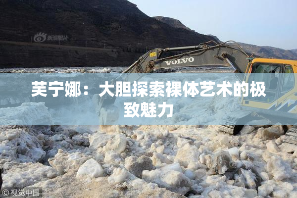 芙宁娜：大胆探索裸体艺术的极致魅力