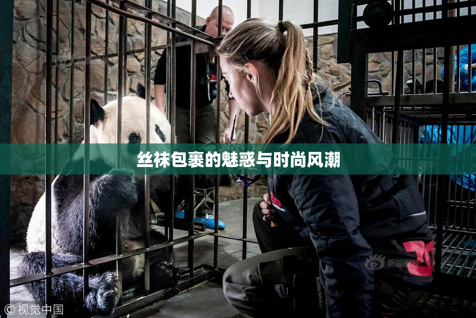 丝袜包裹的魅惑与时尚风潮