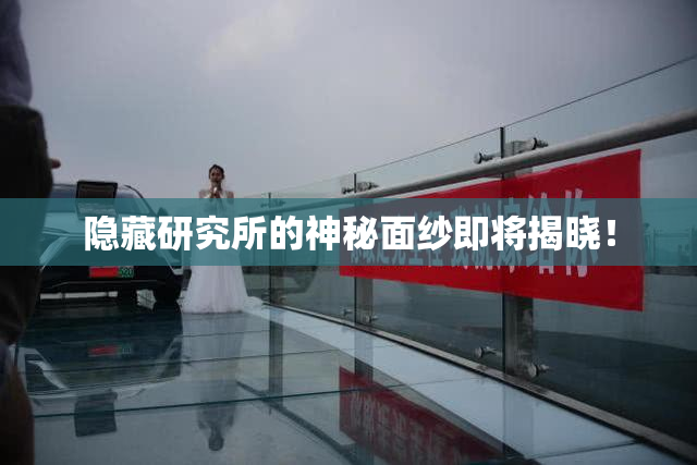 隐藏研究所的神秘面纱即将揭晓！