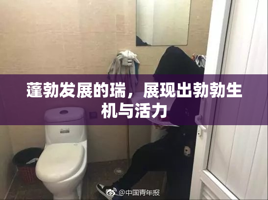 蓬勃发展的瑞，展现出勃勃生机与活力