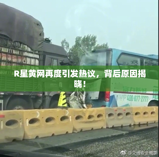R星黄网再度引发热议，背后原因揭晓！