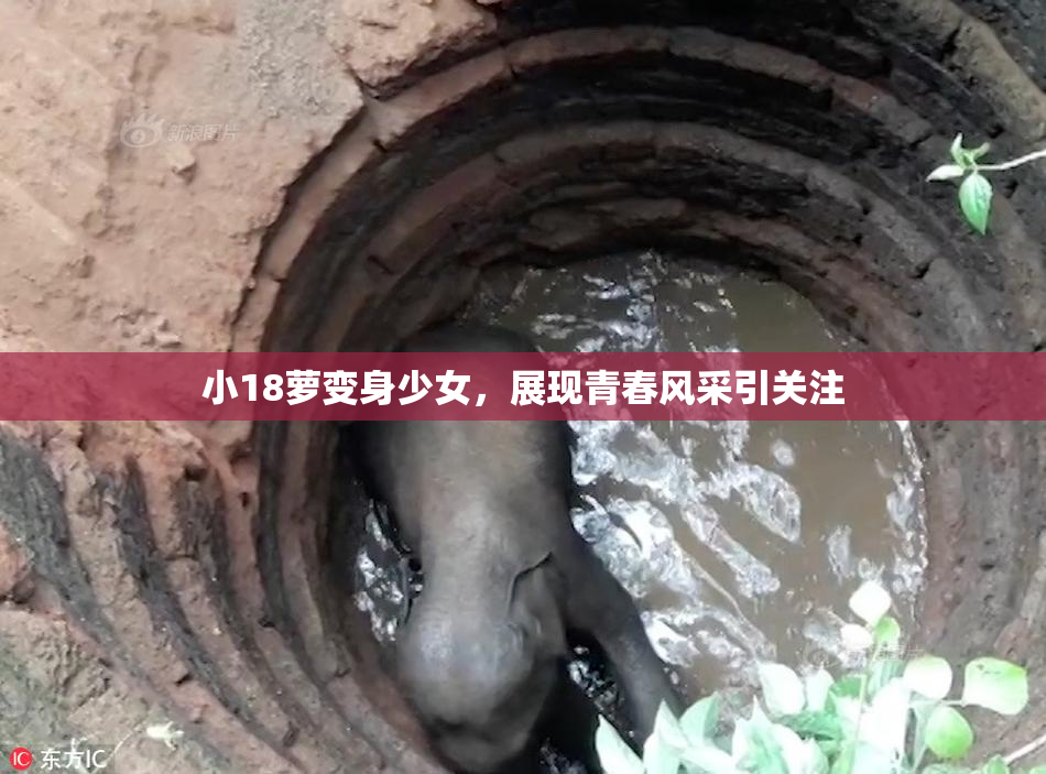 小18萝变身少女，展现青春风采引关注