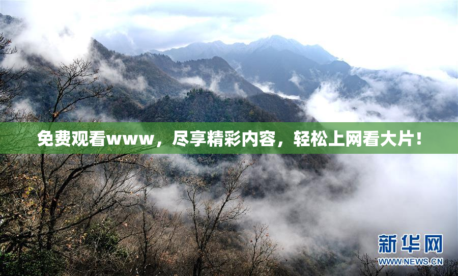 免费观看www，尽享精彩内容，轻松上网看大片！