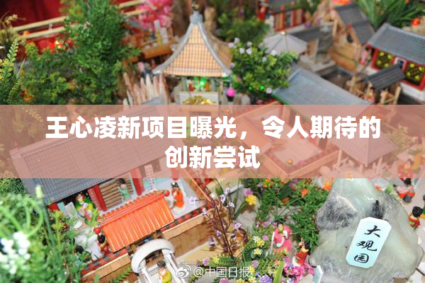 王心凌新项目曝光，令人期待的创新尝试