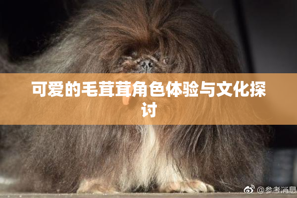 可爱的毛茸茸角色体验与文化探讨