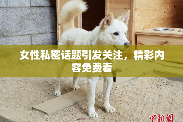 女性私密话题引发关注，精彩内容免费看