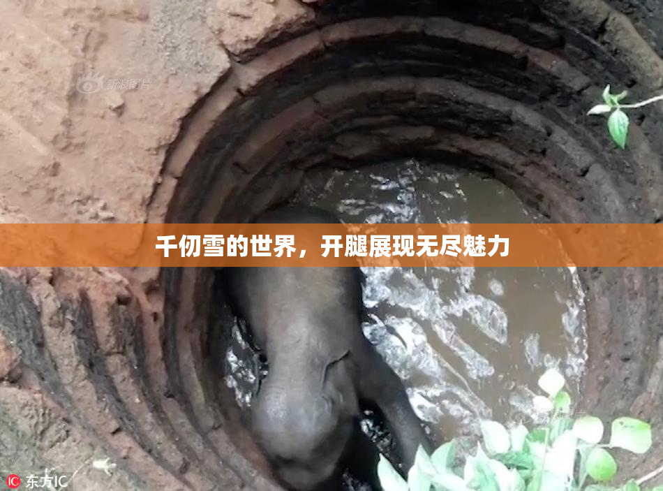 千仞雪的世界，开腿展现无尽魅力