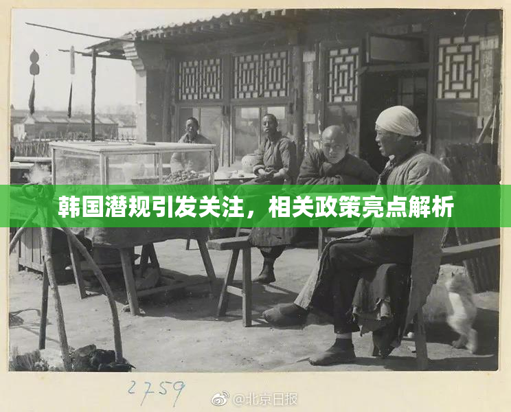 韩国潜规引发关注，相关政策亮点解析
