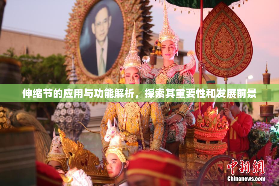 伸缩节的应用与功能解析，探索其重要性和发展前景