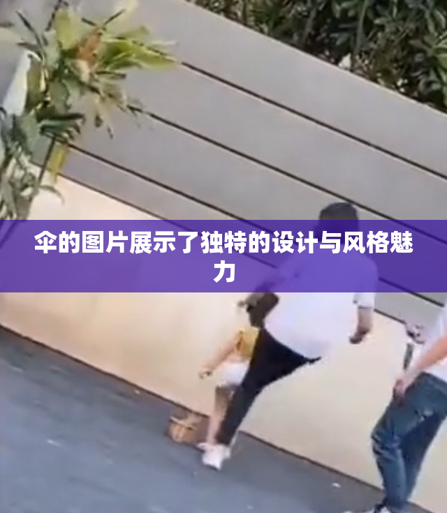 伞的图片展示了独特的设计与风格魅力