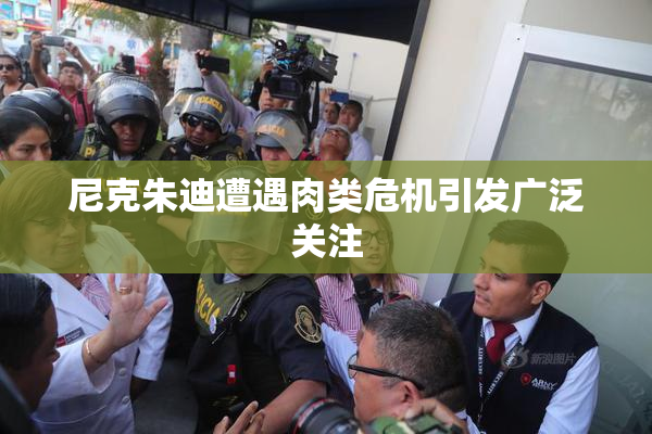 尼克朱迪遭遇肉类危机引发广泛关注