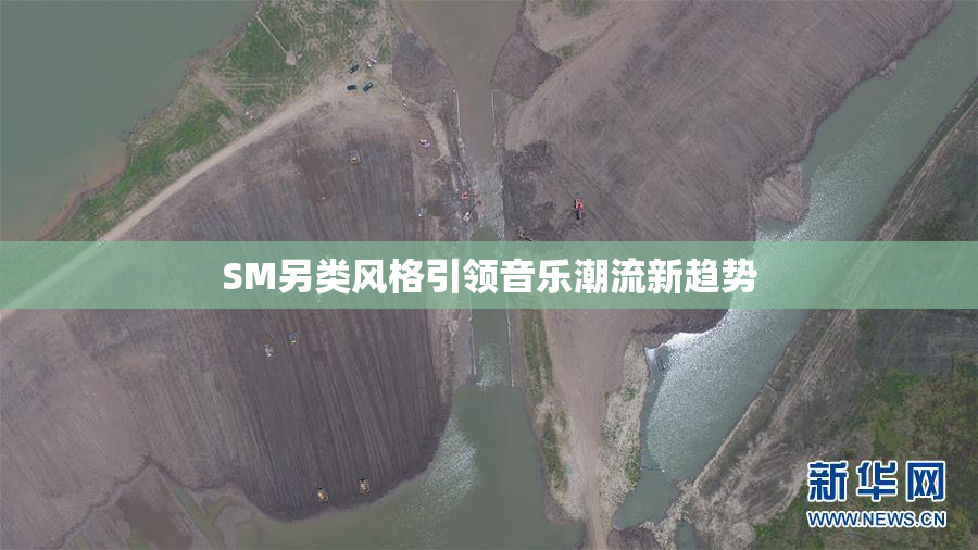 SM另类风格引领音乐潮流新趋势