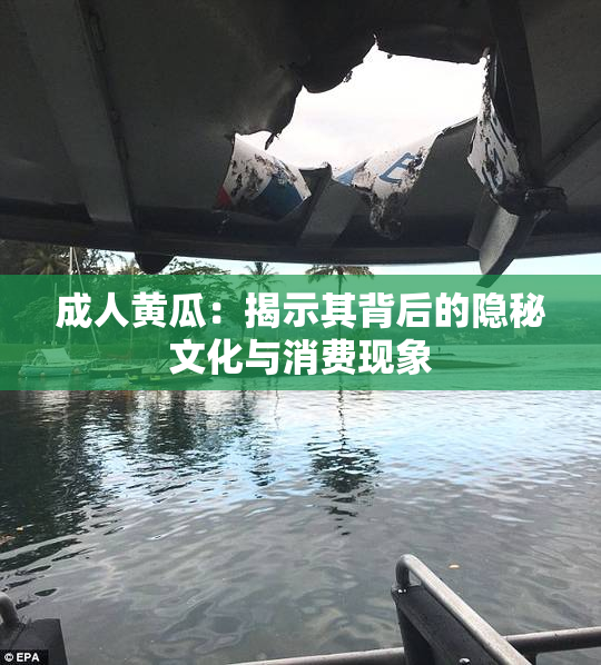 成人黄瓜：揭示其背后的隐秘文化与消费现象