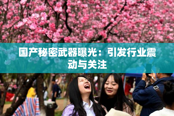 国产秘密武器曝光：引发行业震动与关注