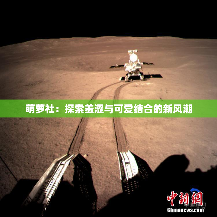 萌萝社：探索羞涩与可爱结合的新风潮